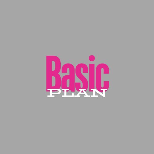 Basic seo subscription monthly fee plan, strategy